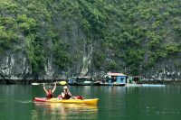CAT BA TOUR 3 DAYS 2 NIGHTS (OVERNIGHT AT THE HOTEL)