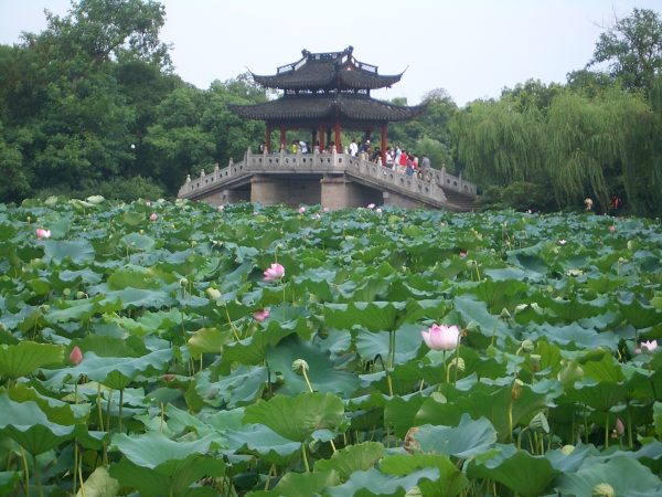 Hangzhou_-_West_Lake_-_lotus_pond_and_bridge_-_CIMG2532